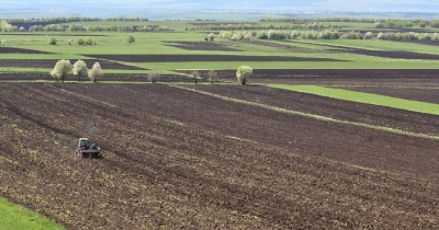 Ինչ գյուղատնտեսության ապահովագրական ծրագիր է գործում Վրաստանում