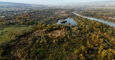რატომ დათმო საპატრიარქომ კრწანისის ტყე-პარკი